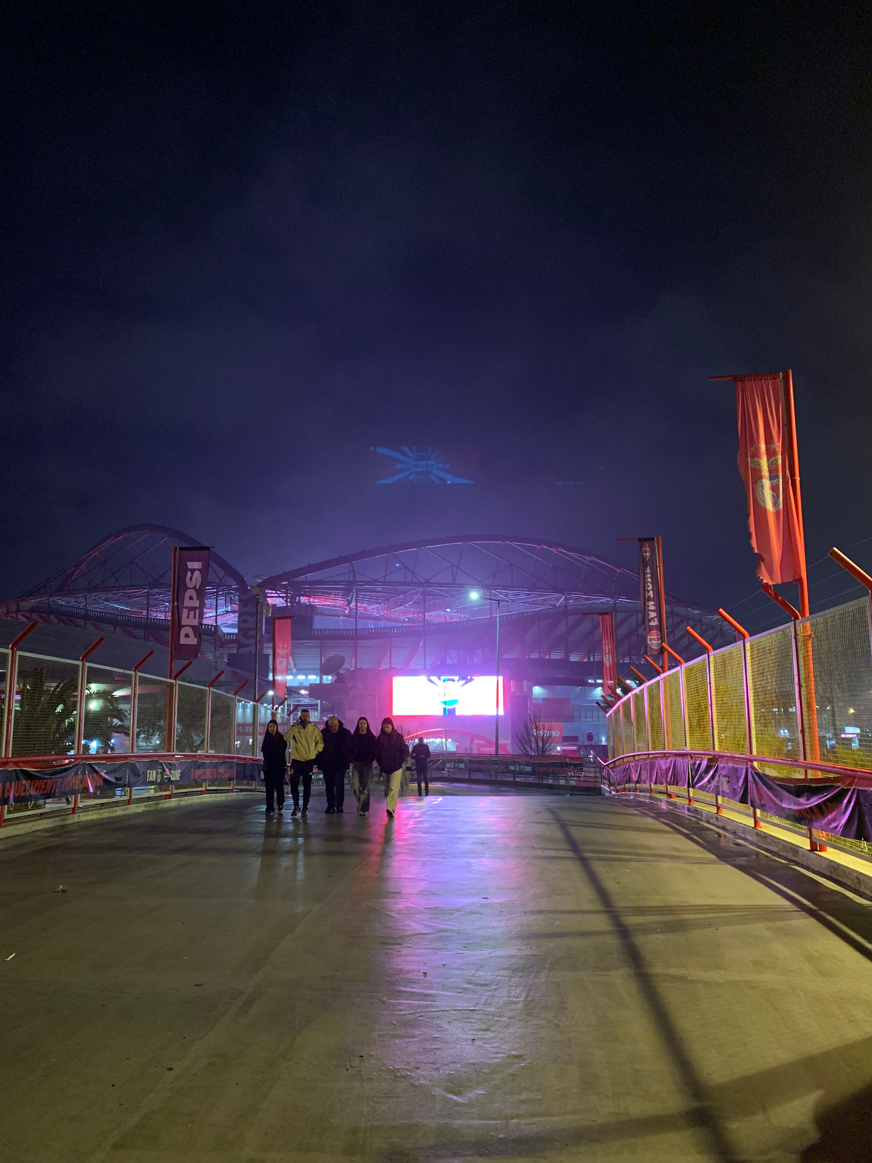 Benfica View